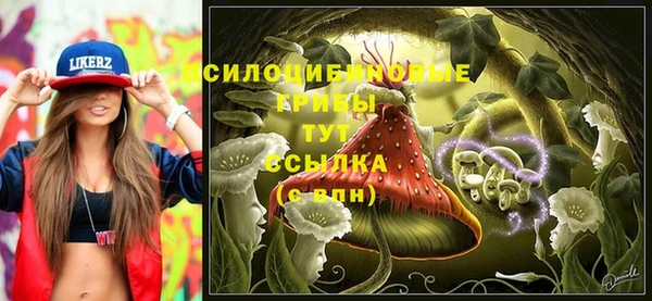 соль ск Алексеевка