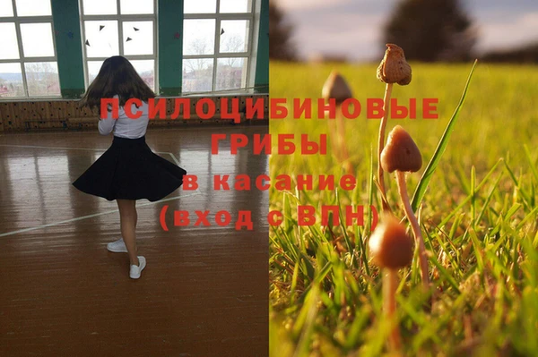 ешки Алзамай
