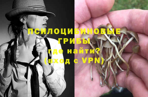 ешки Алзамай