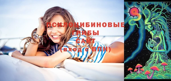 скорость Алексин