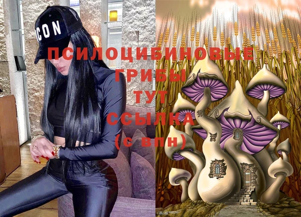 скорость Алексин
