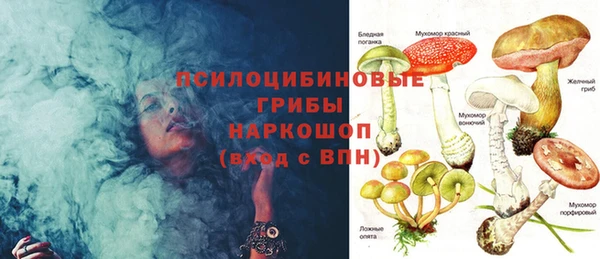 ешки Алзамай