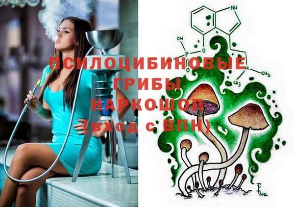 ешки Алзамай